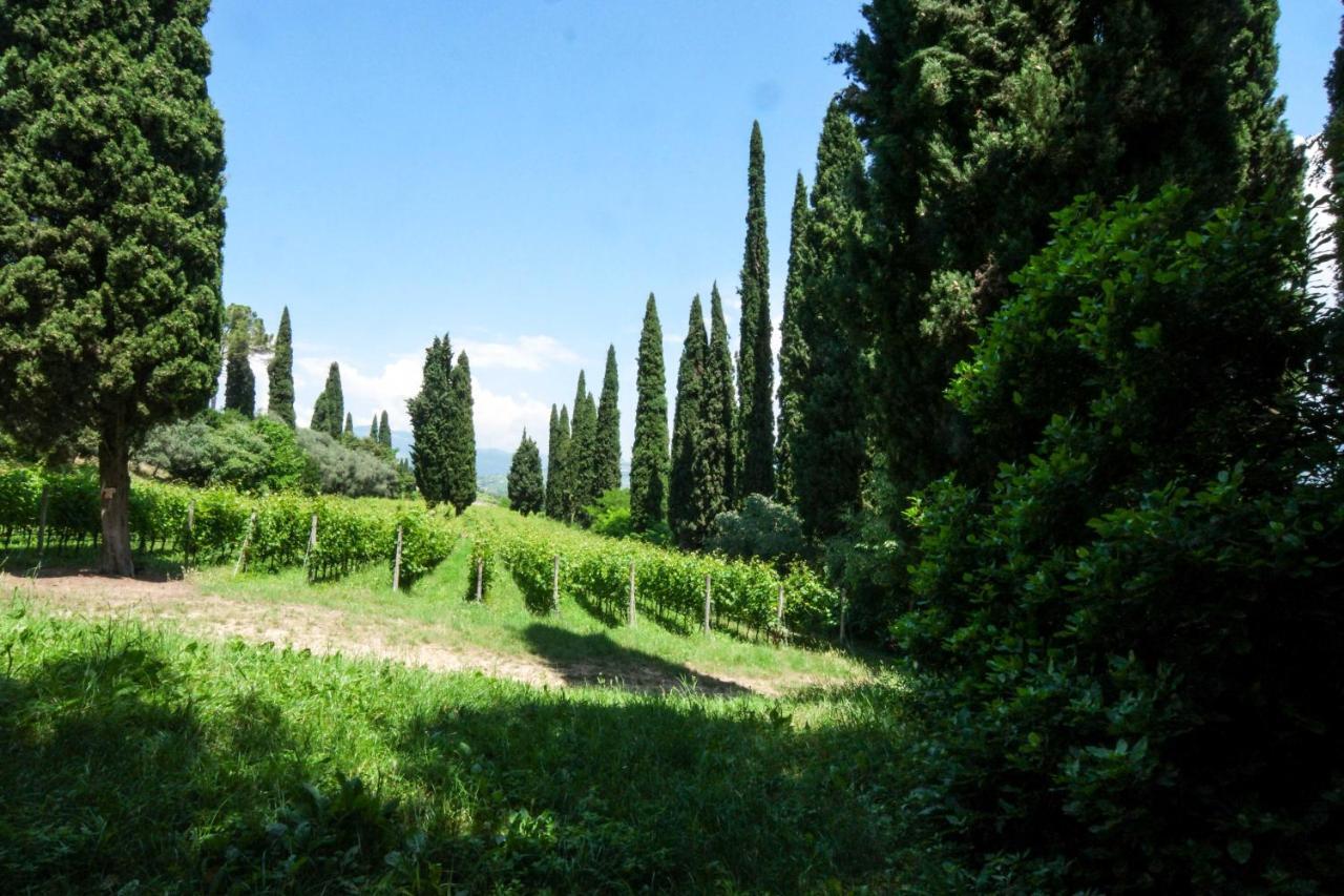 Villa Betteloni Valpolicella Suites San Pietro in Cariano Exterior photo